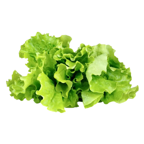 Click and Grow Smart Garden Refill 3-pack - Green Lettuce