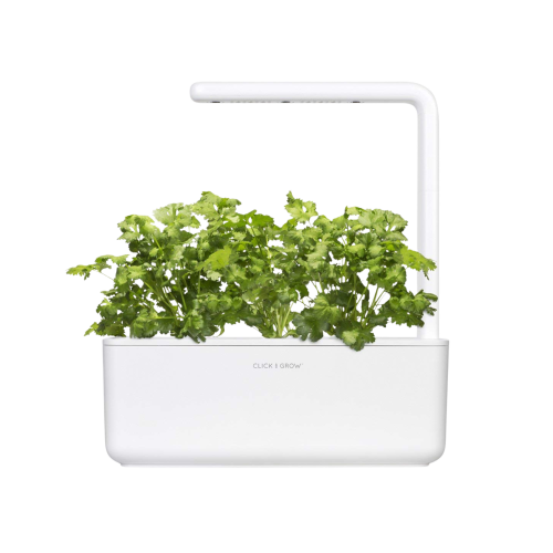 Click and Grow Smart Garden Refill 3-pack - Coriander