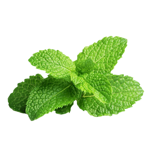 Click and Grow Smart Garden Refill 3-pack - Peppermint