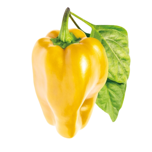 Click and Grow Smart Garden Refill 3-pack - Yellow Sweet Peppers