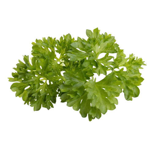 Click and Grow Smart Garden Refill 3-pack - Parsley