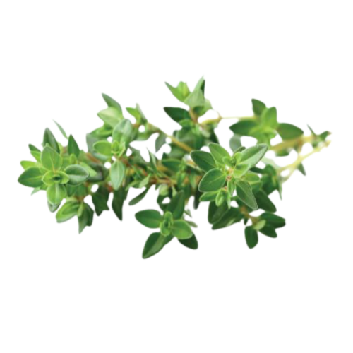 Click and Grow Smart Garden Refill 3-pack - Thyme
